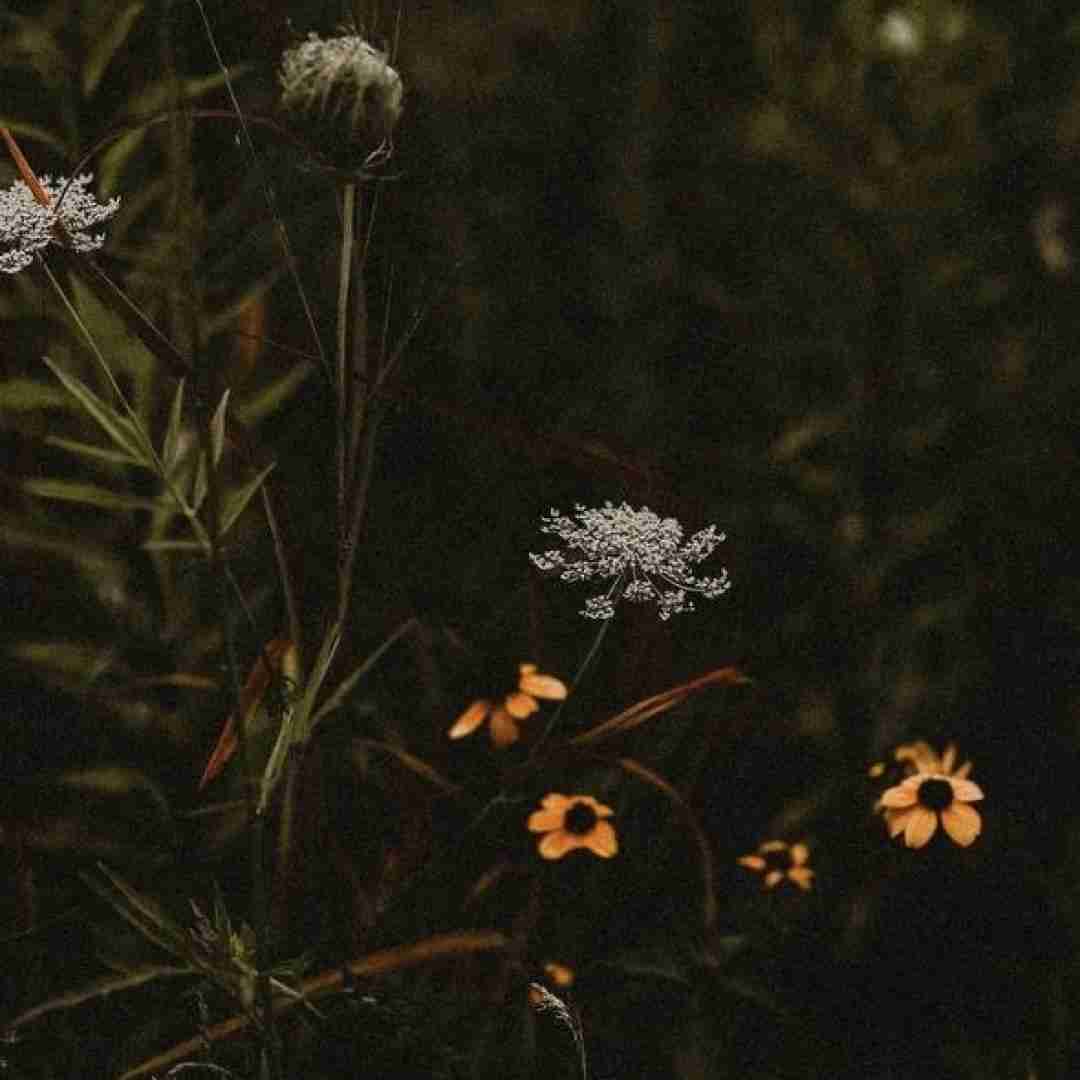 دانلود آهنگ ترکی بهش بگین اون آسمون و خورشید منه