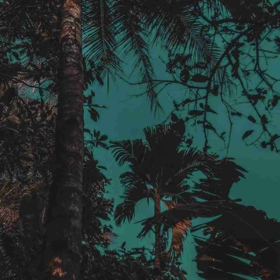 فرزند ایران و جان فدای میهن _ میکس اینستایی