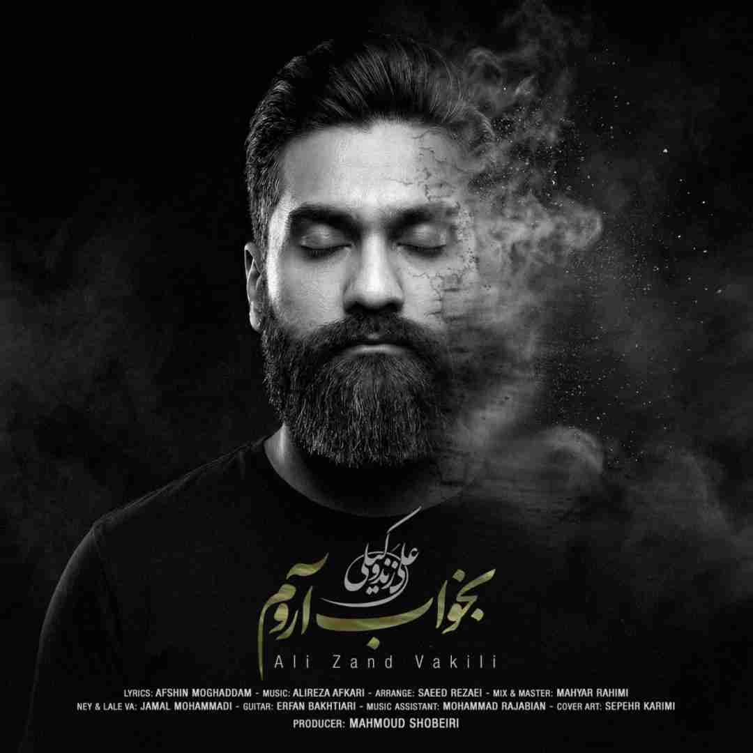 دانلود آهنگ جدید بخواب آروم از علی زندوکیلی