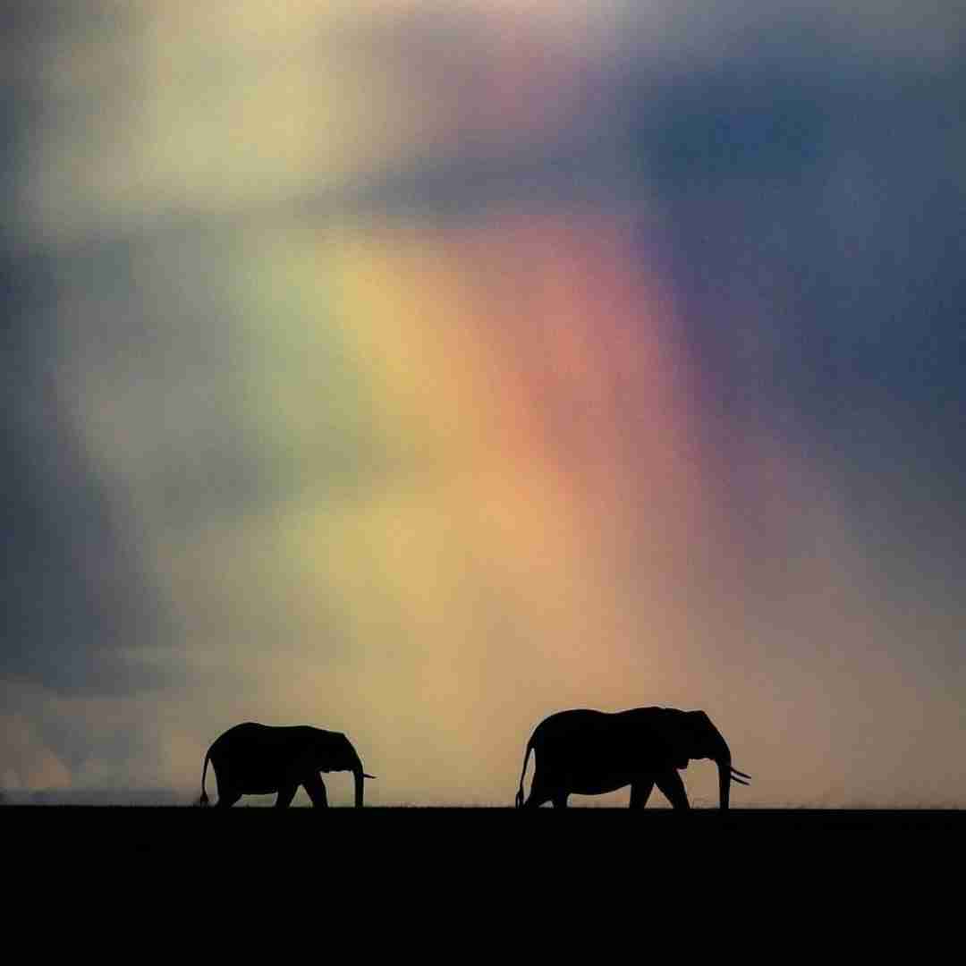 دانلود ریمیکس حیف این همه ماهی معصوم حیف