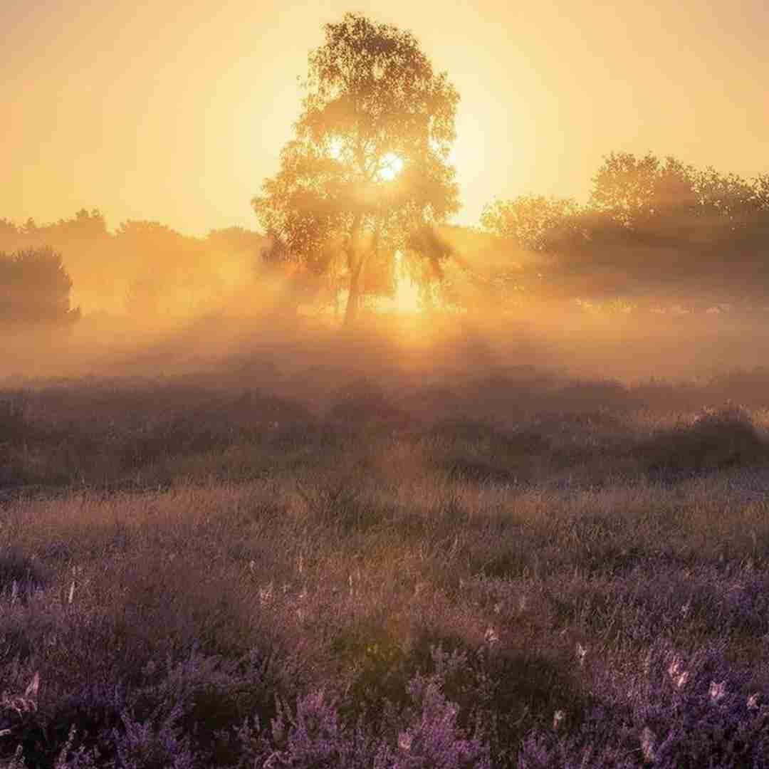 دانلود آهنگ دلم میخواد ساکت شم اگه حرفام بزارن