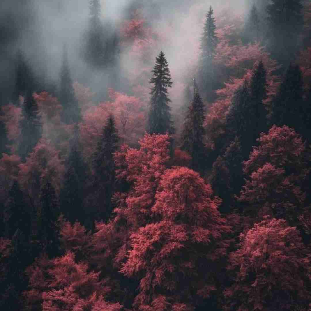 دانلود آهنگ نگاها رو من و تو بود عین عروسی