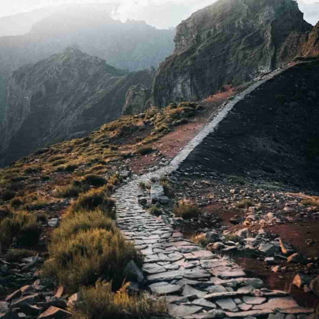 دانلود آهنگ به شب نشینی خرچنگ های مردابی با صدای پسر