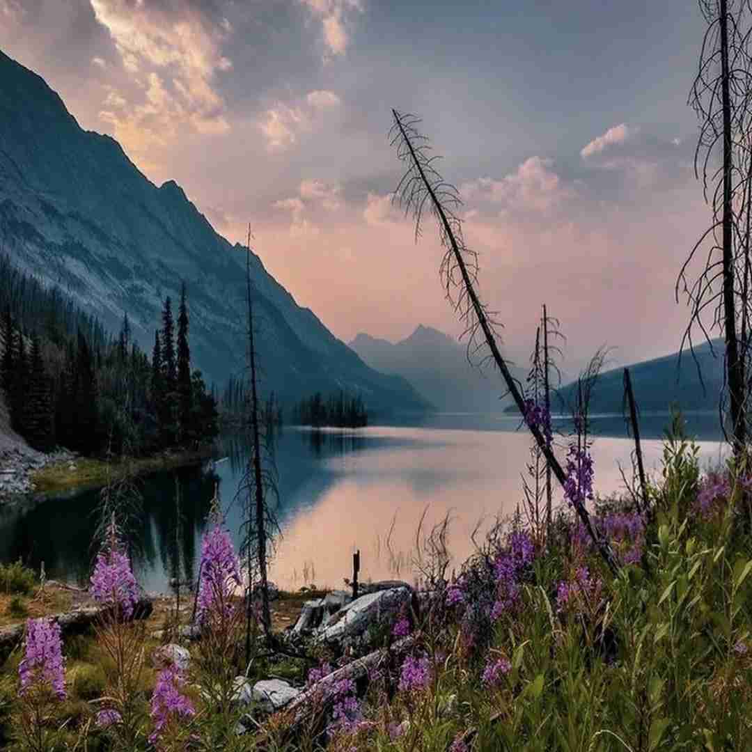 ببخشید یه لحظه به نده ها آلرژی دارم _ چالشی
