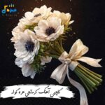 دانلود آهنگ کرمانجی هره گوله با صدای افراد مختلف + ریمیکس (تاریخ ما)