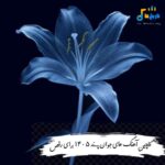 دانلود آهنگ های جوان پسند 1405 برای رقص(تاریخ ما)