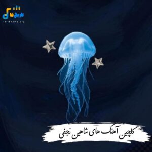 دانلود همه آهنگ های شاهین نجفی