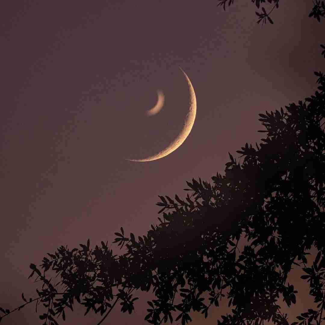 میکنم تتو اسمتو وسط سینم با صدای زن