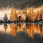 بین قلبم یک نفر دارو ندارم یک نفر با صدای زن و مرد