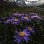 روزای بد برای من روزای خوب برای تو