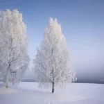 دانلود آهنگ جدید نا کجا دشی
