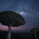 دانلود آهنگ جدید این آخرین پیامه پولمو ندی حرامه (ترند اینستا)