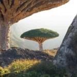 دانلود آهنگ جدید تو که ناز دوست داری میخوای برات ناز کنم (هوش مصنوعی)