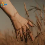 دانلود ریمیکس جدید یادت نره که قسط دارم خیلی جیبم تنگه الان _ ترند دانلود ریمیکس جدید یادت نره که قسط دارم خیلی جیبم تنگه الان _ ترند