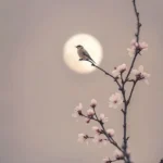 دانلود آهنگ جدید این چند وقت امونم بریده هرشب گرفته بغضم