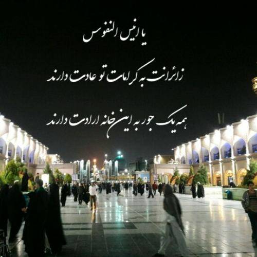 محمدجواد احمدی قلب همه پر میزنم تا سامرا 