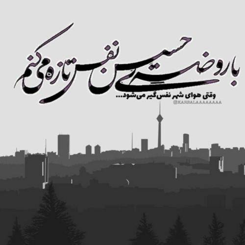 محمود کریمی  نیلوفر مرداب دنیایم