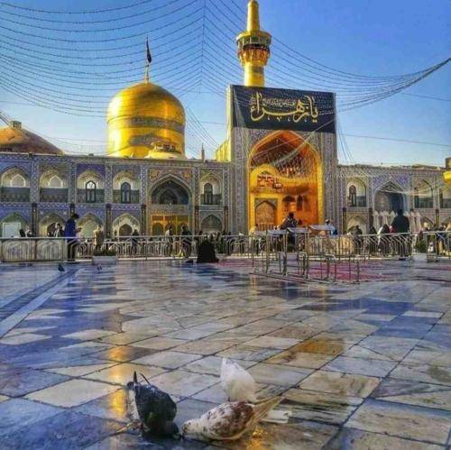 علی مومنی بهشت اگه آدم بود حسین میشد بامش