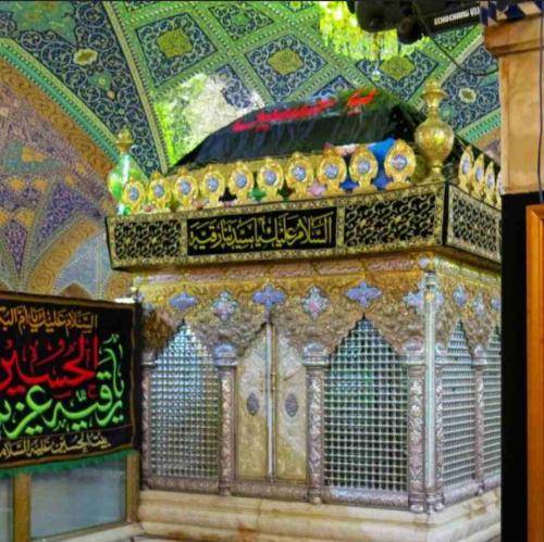 جواد مقدم محرمی کاش میشد که زائرت بودم