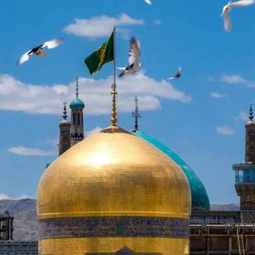 جواد مقدم برای اونا كه عاشقن هشتمین اربابه