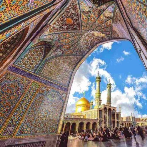 میثم مطیعی میان این همه حاجی کجاست حاجی زهرا