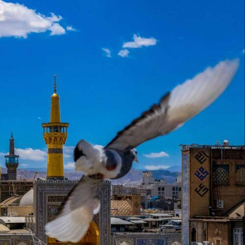 رضا نریمانی من می خوام به هوای کودکیم برگردم