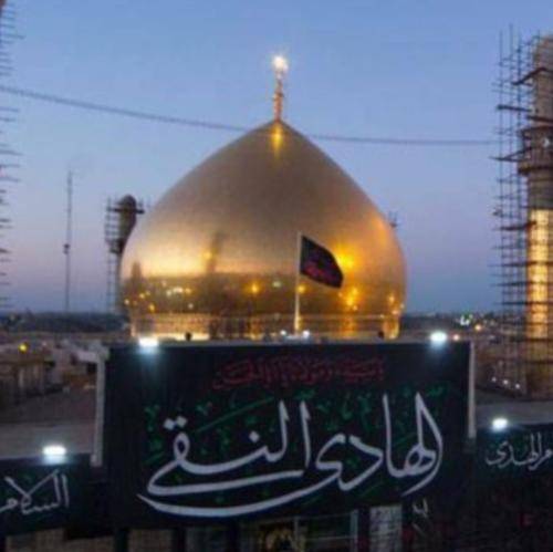 حسین سیب سرخی جگرت سوخت با لب تشنه چون جگر گوشه‌ی رضا بودی