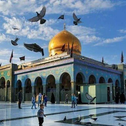 میثم مطیعی نمیتونم از تو و حرم تو نخونم مثل عابس تو میزنم داد اخه مجنونم