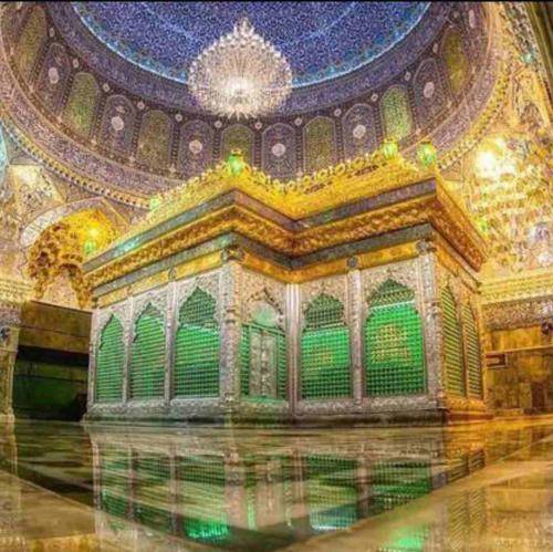 امیر کرمانشاهی کربلایی نمیشم بدون امام رضا
