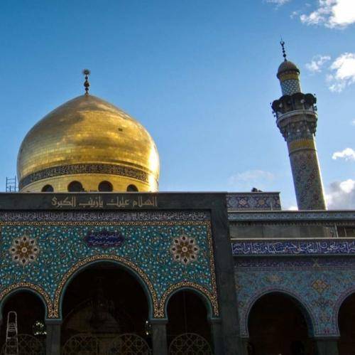 وحید شکری دیدی آخرش باهم زمین خوردیم