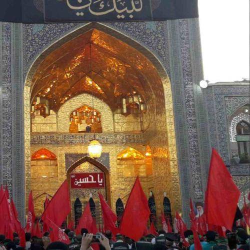 وحید شکری طالب خون کربلا مهدی