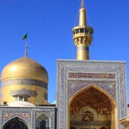 وحید شکری دلی که عاشقی نکرده هیچ وقت