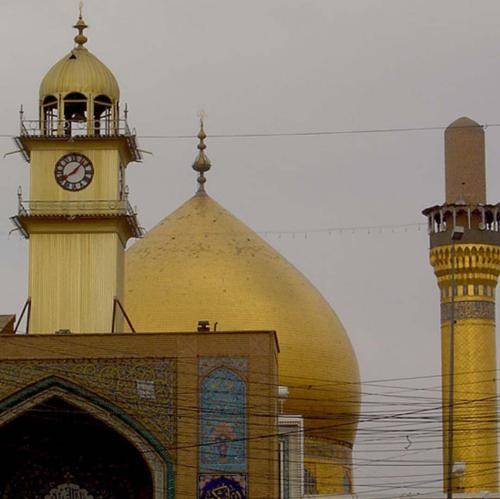 محمدرضا ناصری یار علی داری میری