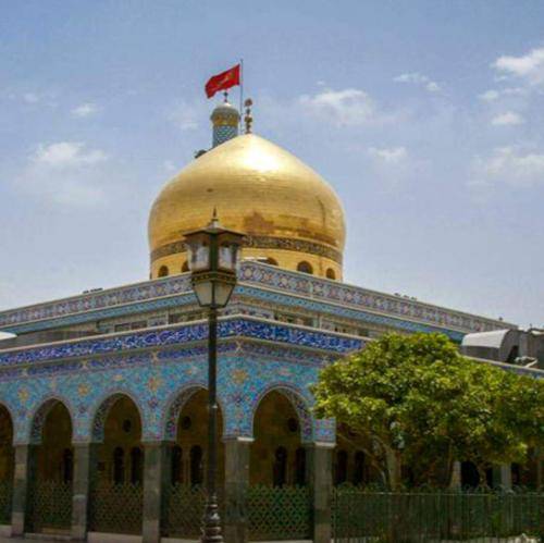 عبدالرضا هلالی یه دیوونه که حالشو خدا میدونه