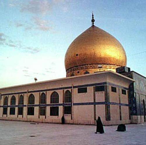 مهدی میرداماد فردا میان موج خون غسل شهادت می‌کند