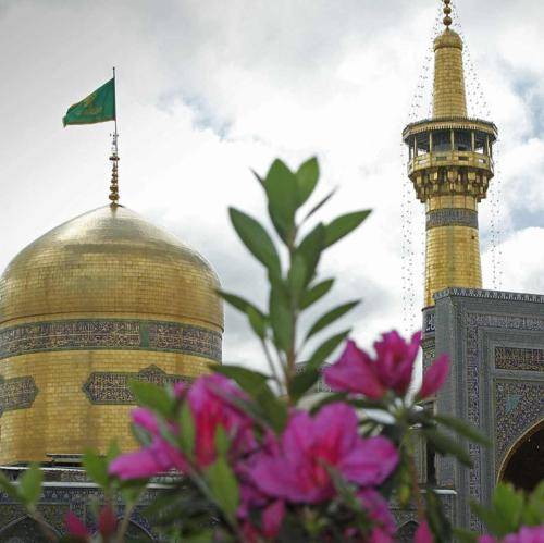 میثم مطیعی فریادش طوفان صحرا صحرا