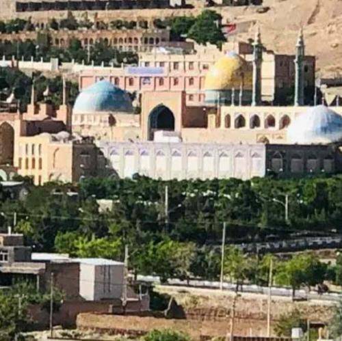 مهدی رعنایی شیعه علی شدن افتخاره