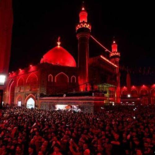 رضا نریمانی دنیا بدون عشق تو چیزی که می‌خوام نیست