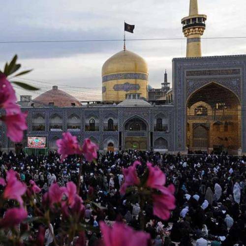 جواد مقدم دلم برات تنگه خودت خبر داری