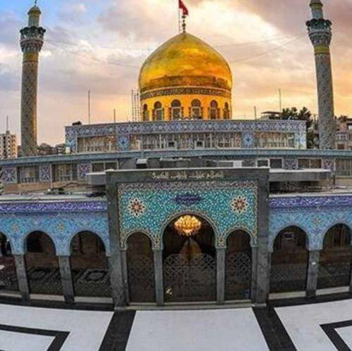 منصور ارضی دلم برای دیدنت مذاب شد نیامدی