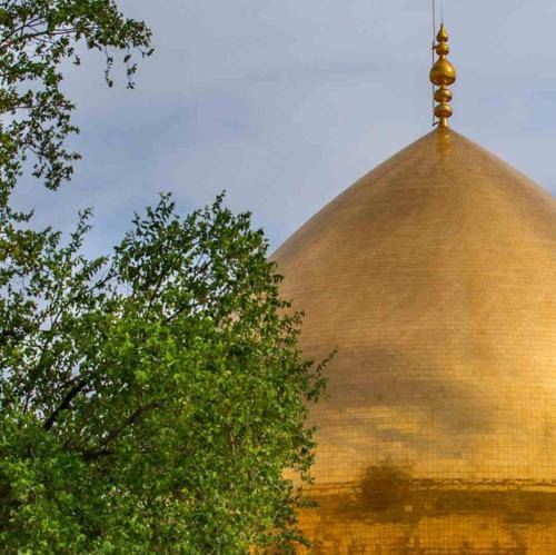 مهدی رسولی وسط روضه و هر سینه‌زنی