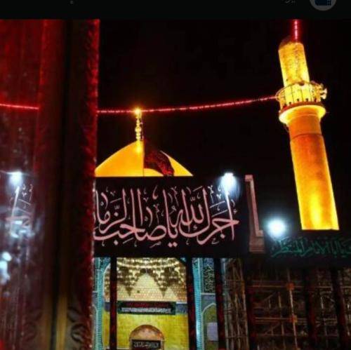 مجید بنی فاطمه دیگه از پا افتادم از بس دنبالت گشتم