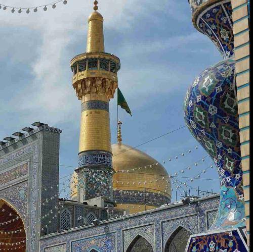 وحید شکری توی این شهر نمی‌بینم مردی