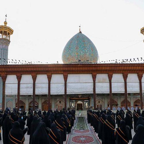 نریمان پناهی ای تشنه لب ای بی کفن