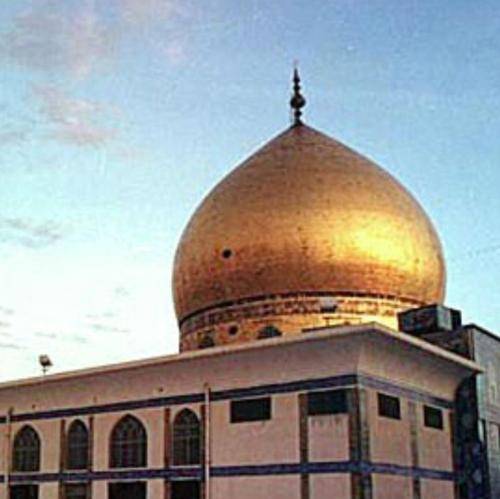 جواد مقدم بوی گلای رازقی که توی خیمه شده خشک