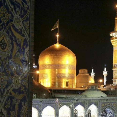 وحید شکری دلم فقط با یاد کرببلا میزنه همه با رخصت علی موسی‌الرضا