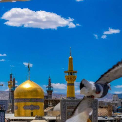 مهدی اکبری مگه آدم بدا عاشق نمیشن