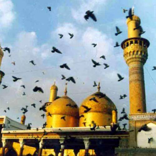 رضا نریمانی منو ببخش از تو دور شدم جوونی کردم
