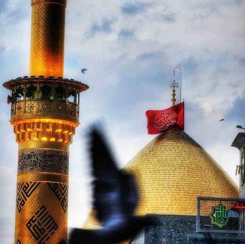 وحید شکری تا دیر نشده بیا برگردیم زینبت تا پیر نشده بیا برگردیم از این صحراجان زهرا