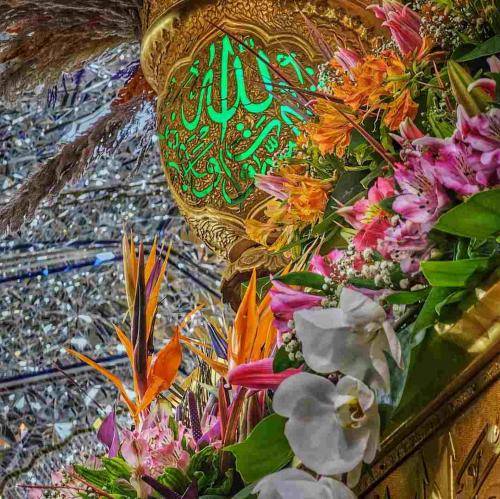عبدالرضا هلالی نقی نامی که فخر آسمان است